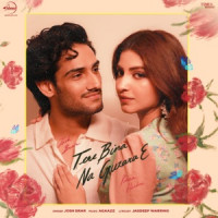 Josh Brar, Kinza Hashmi - Tere Bina Na Guzara E