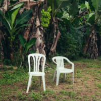 Bad Bunny, Omar Courtz & Dei V - VeLDÁ