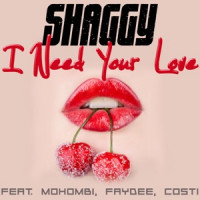 Shaggy, Mohombi, Faydee , Costi - I Need Your Love