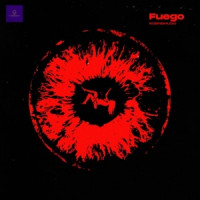 RobinBmusic - Fuego